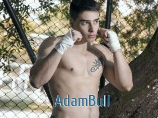 AdamBull