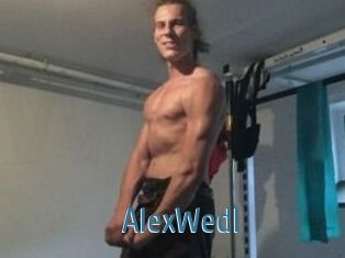 Alex_Wedl