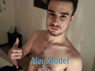 AleyModel