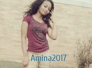Amina2017