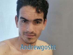 Andrewgosht