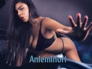 Anieminori