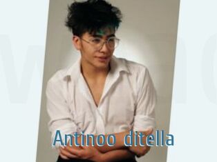 Antinoo_ditella