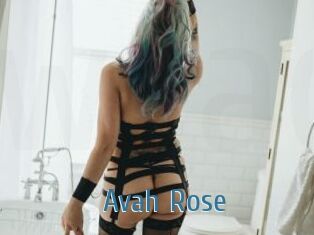 Avah_Rose