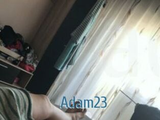 Adam23
