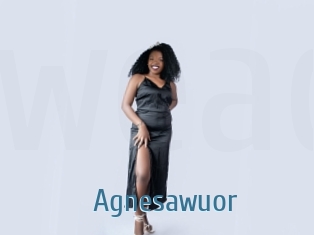 Agnesawuor