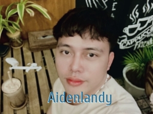 Aidenlandy