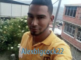 Alexbigcock22