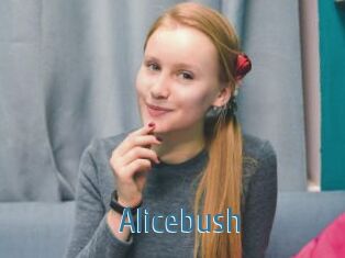 Alicebush