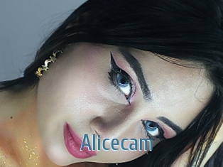 Alicecam