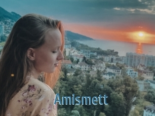 Amismett
