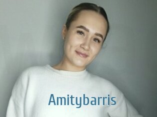 Amitybarris
