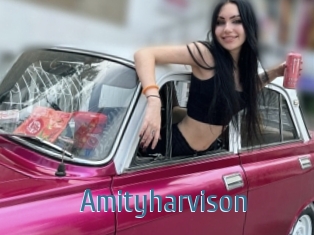 Amityharvison