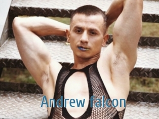 Andrew_falcon