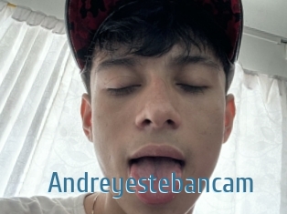 Andreyestebancam