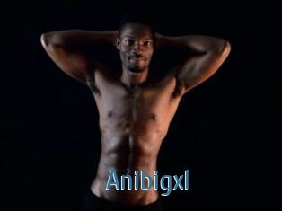 Anibigxl