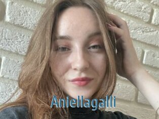 Aniellagalli