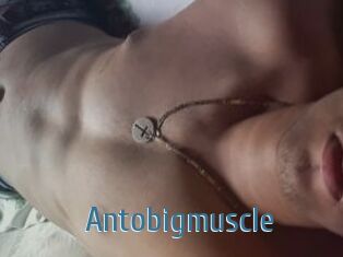 Antobigmuscle