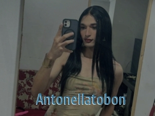 Antonellatobon
