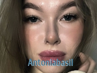 Antoniabasil