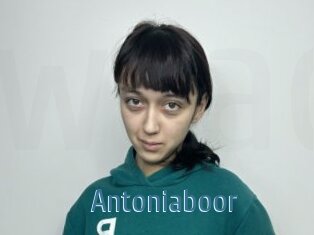Antoniaboor