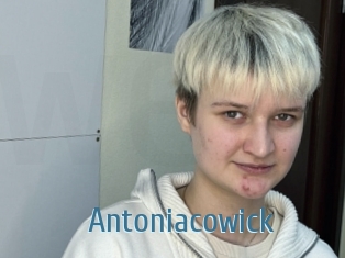 Antoniacowick