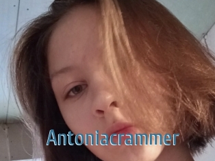 Antoniacrammer