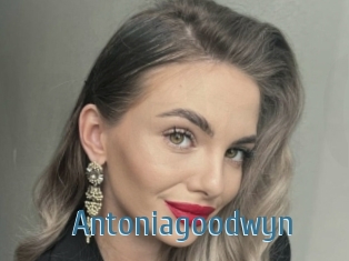 Antoniagoodwyn