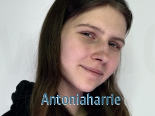 Antoniaharrie