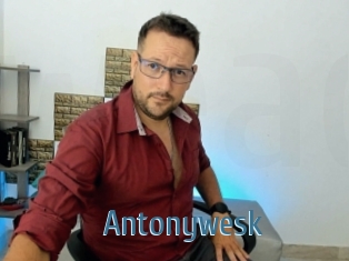 Antonywesk