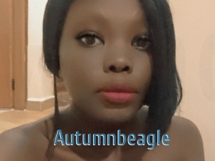 Autumnbeagle