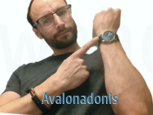 Avalonadonis