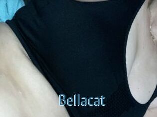 Bella_cat