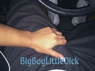 BigBoyLittleDick