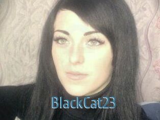 BlackCat23