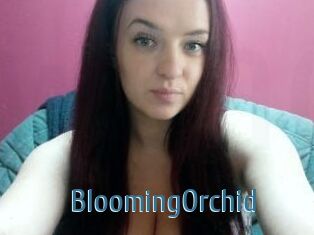 BloomingOrchid