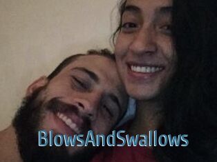 BlowsAndSwallows