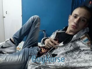 BoyHorse