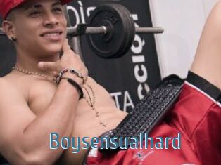 Boysensualhard