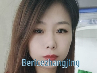 Bericezhangjing
