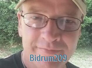Bidrum209