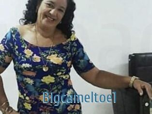 Bigcameltoe1