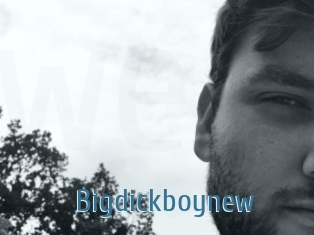 Bigdickboynew