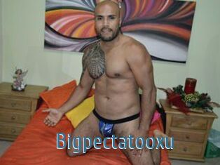 Bigpectatooxu