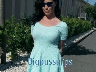 Bigpussylips