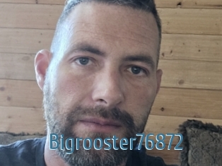 Bigrooster76872