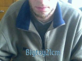 Bigtoy21cm