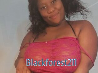Blackforest211