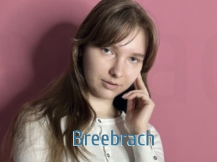 Breebrach