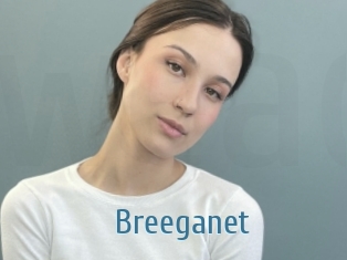 Breeganet